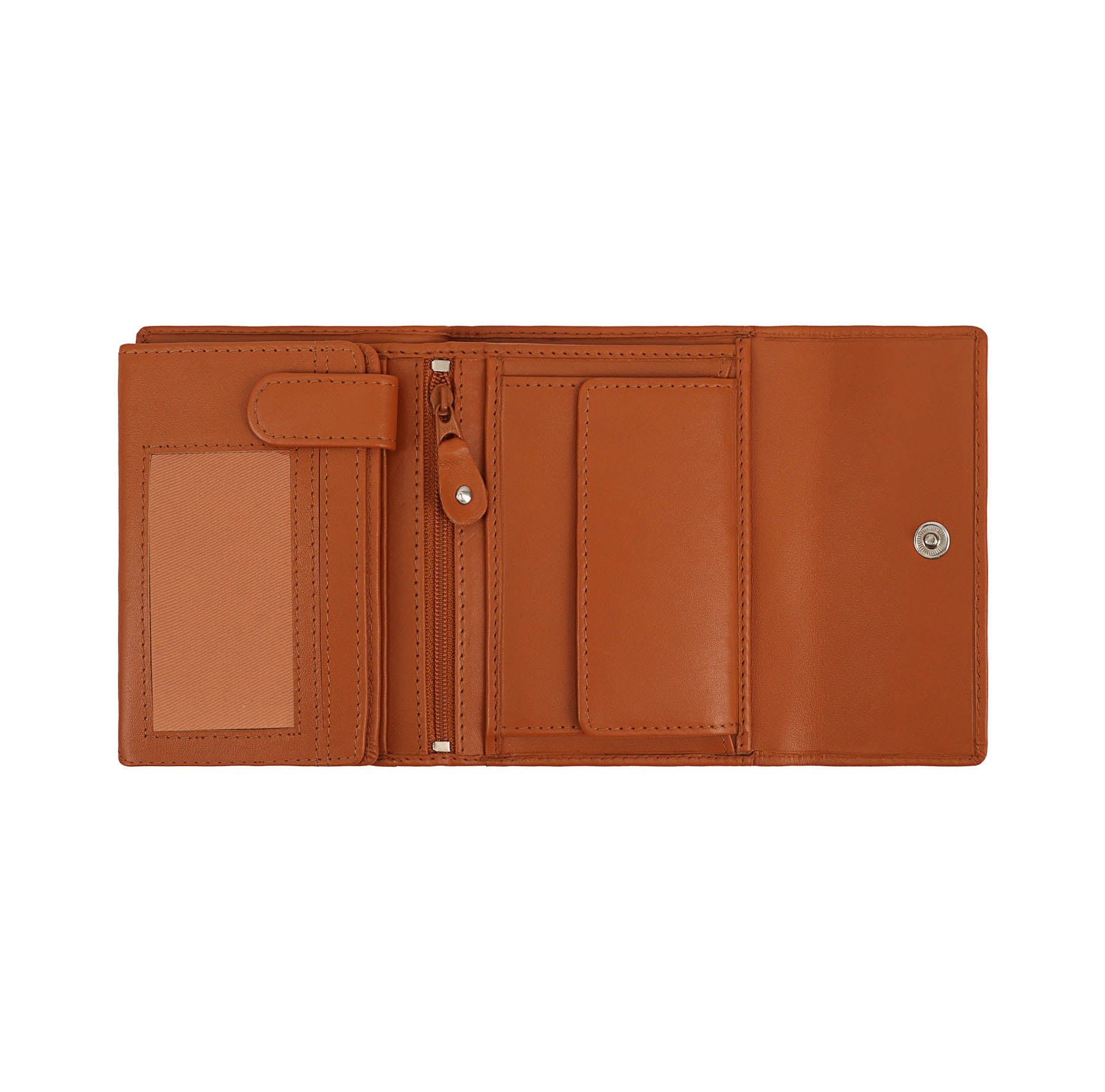 #Colour_Cognac
