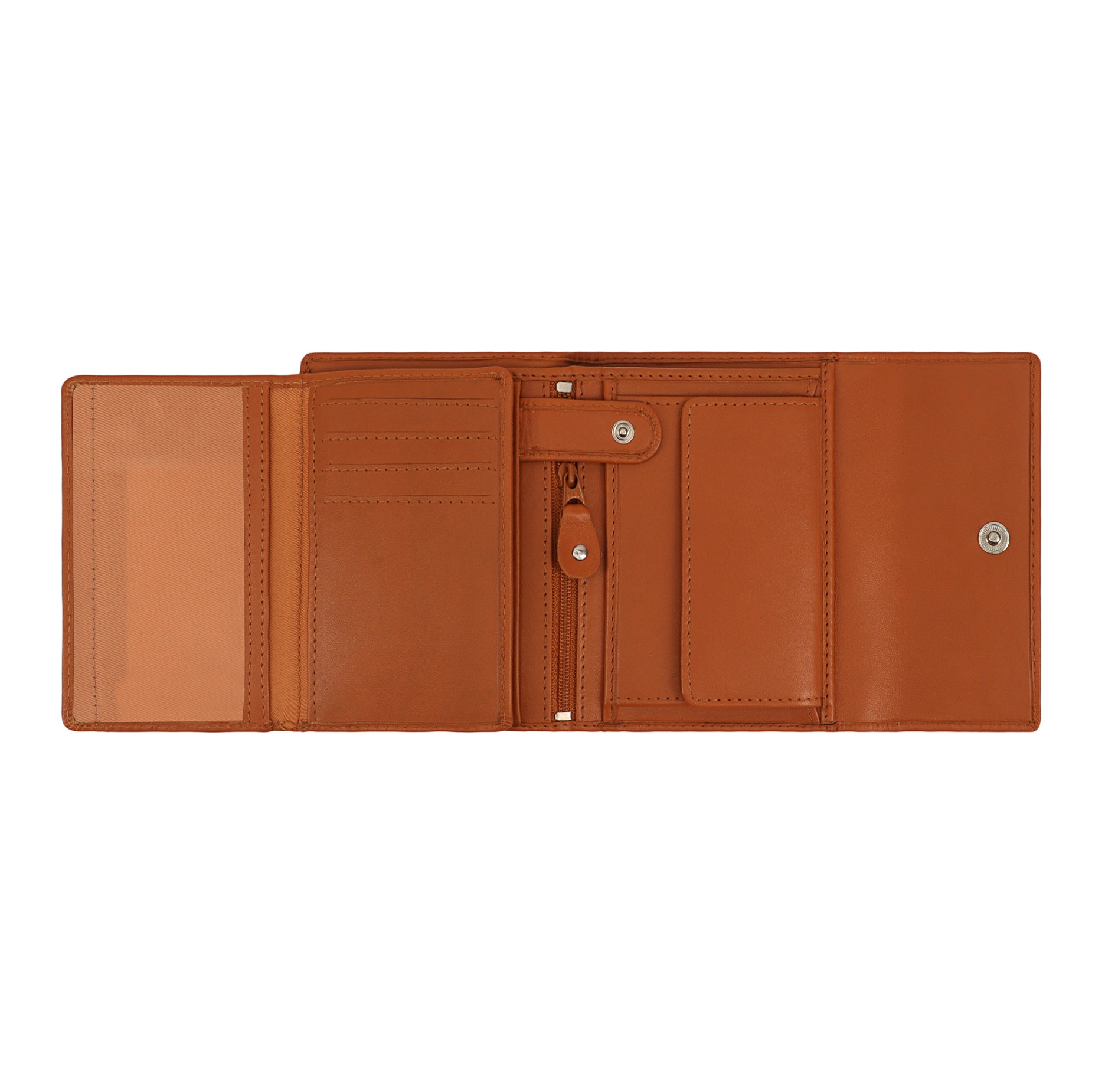 #Colour_Cognac