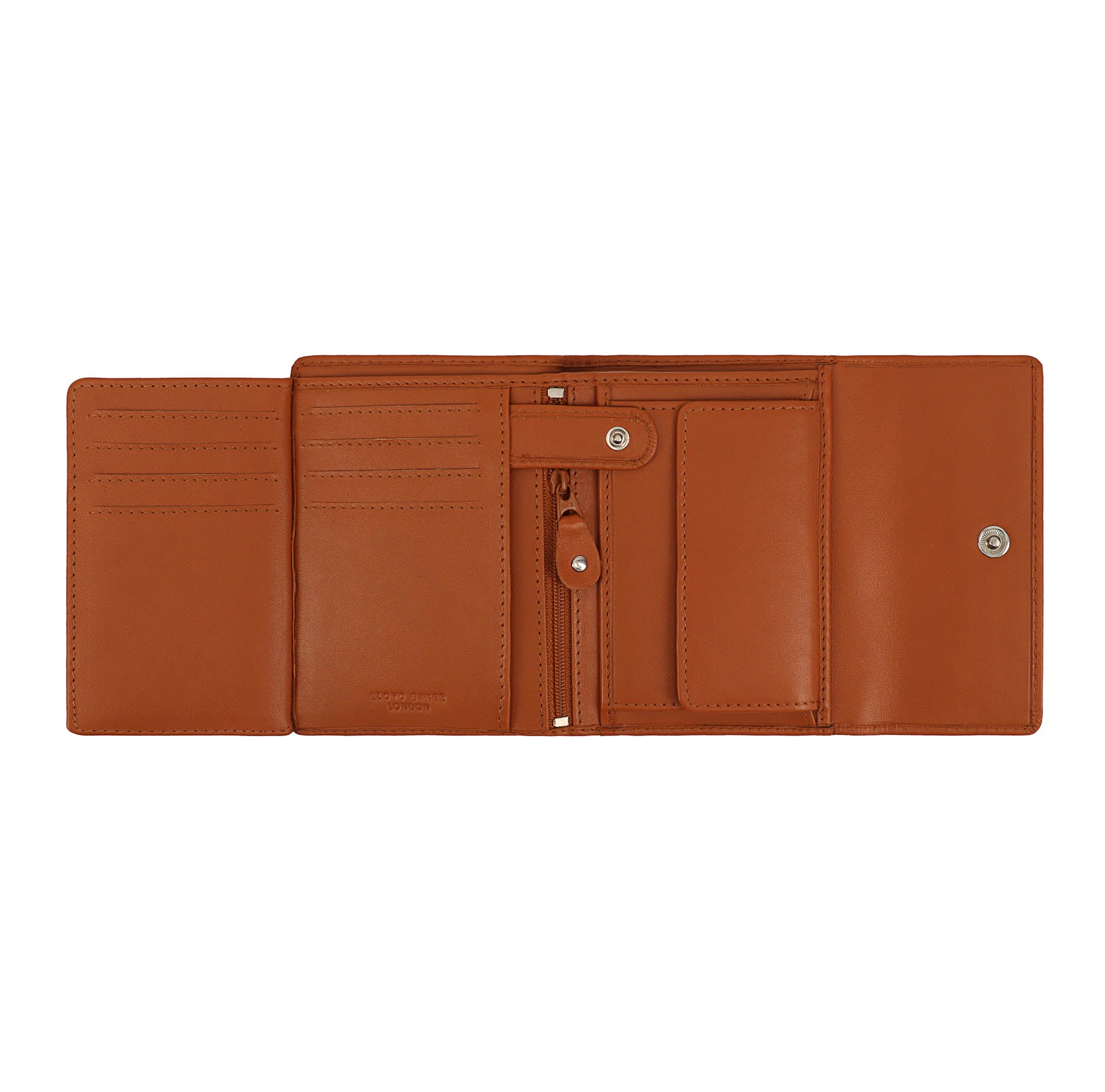 #Colour_Cognac