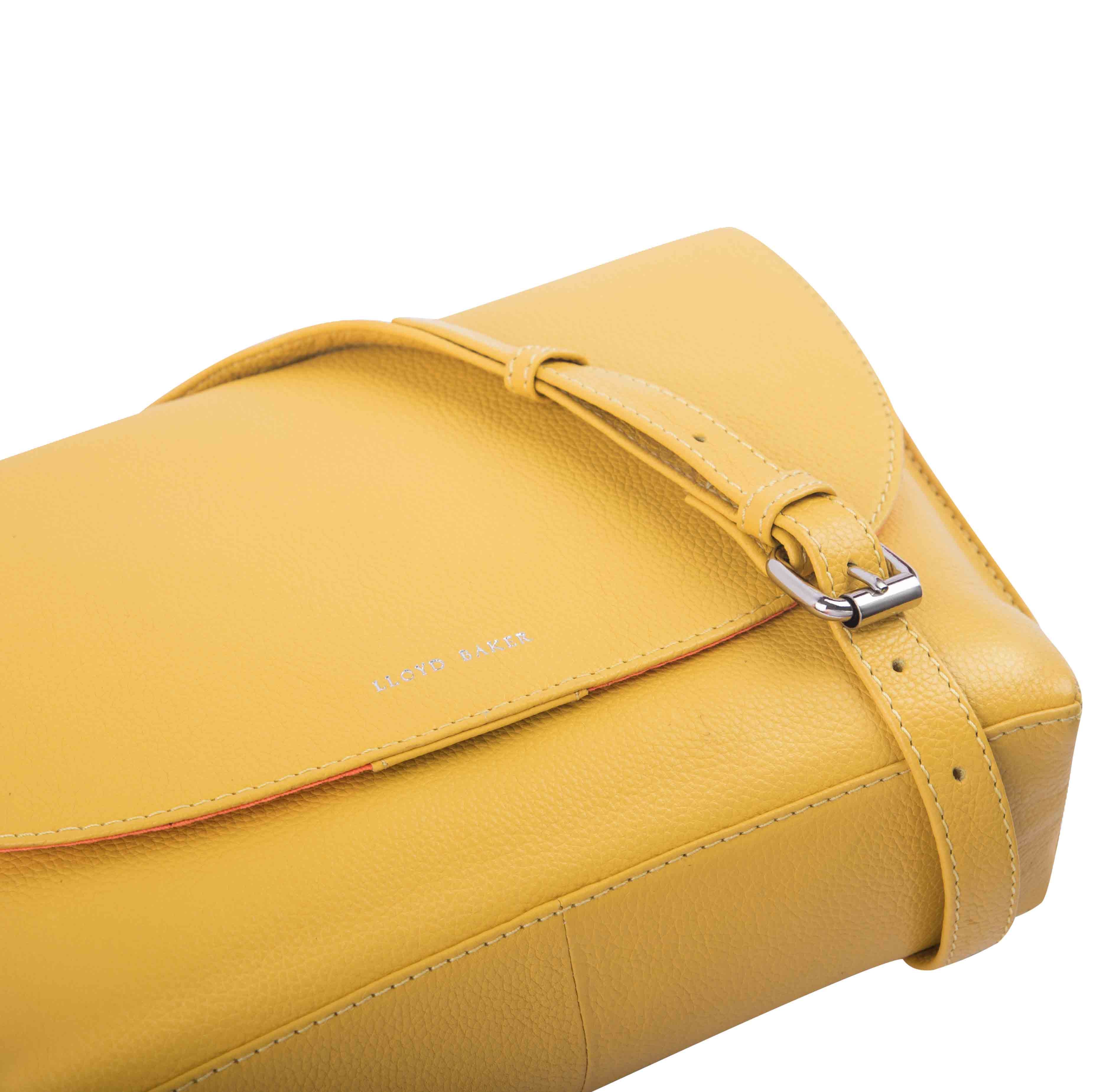 #Colour_Ceylon Yellow