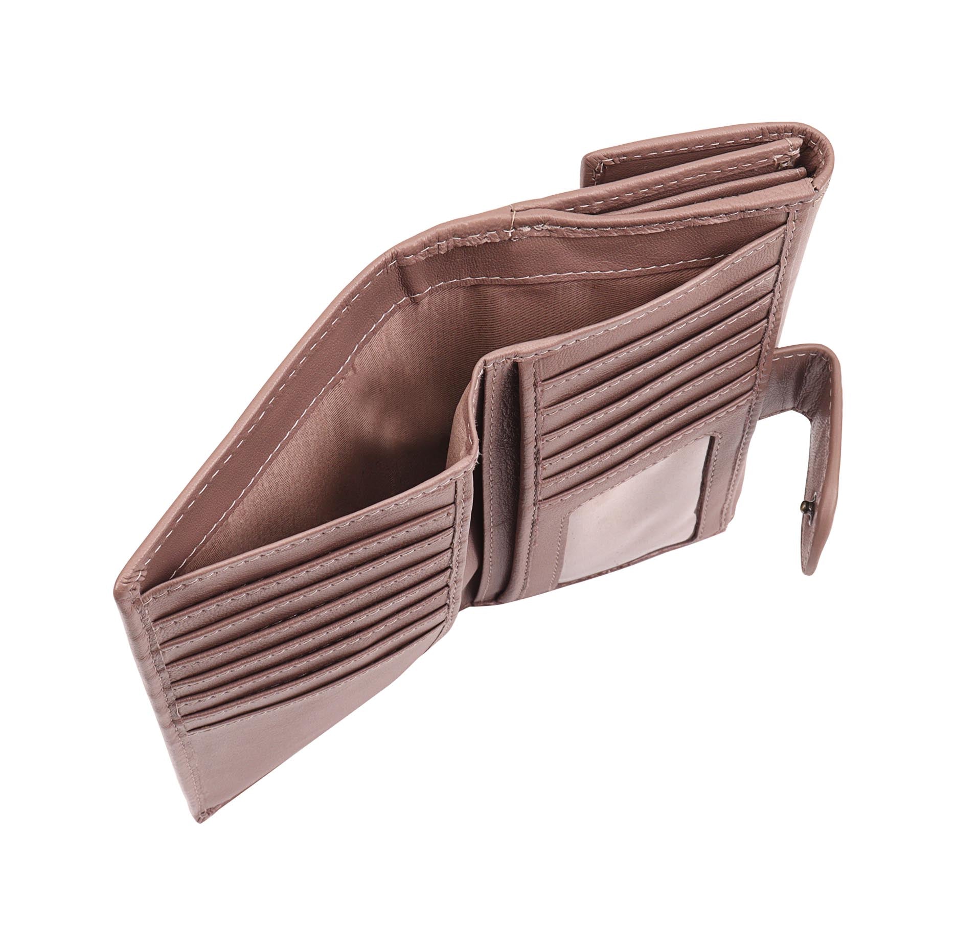 #Colour_Antler