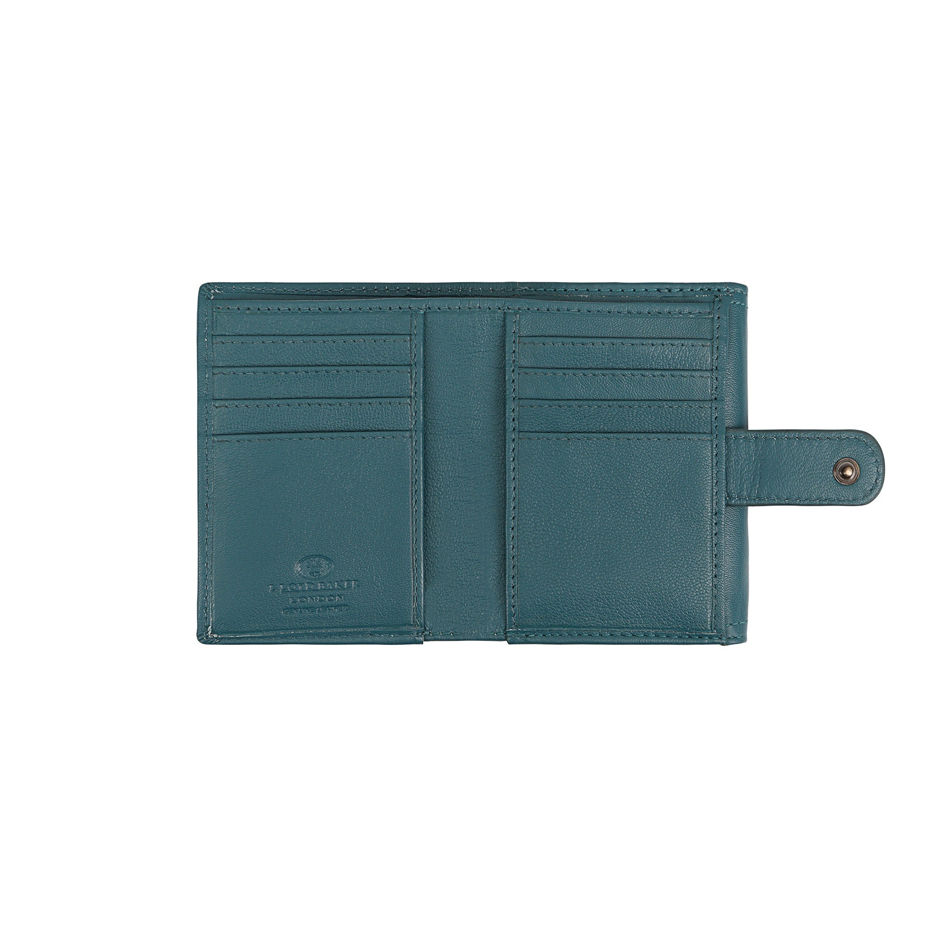 #Colour_Shaded Spruce