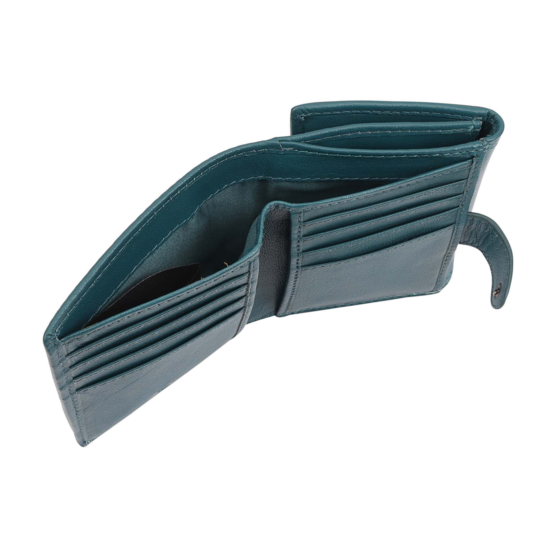 #Colour_Shaded Spruce