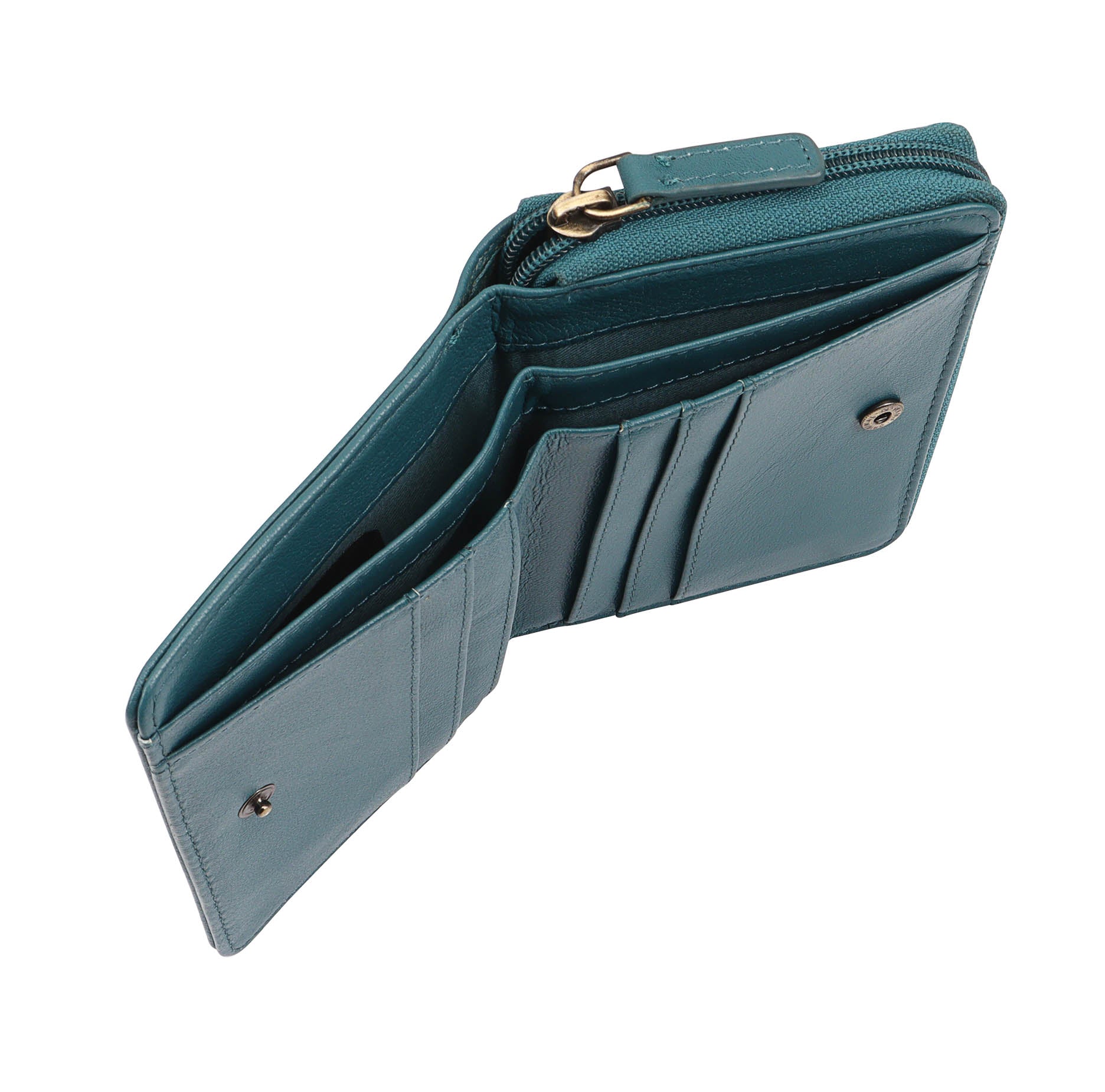 #Colour_Shaded Spruce